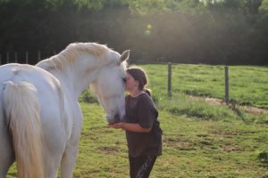 Myorca Lipizzan Mare